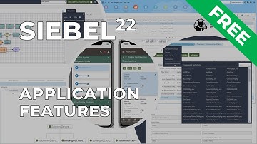 Siebel 22: Application Features IP 16 and Higher