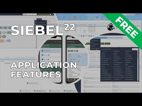 Siebel 22: Application Features IP 16 and Higher
