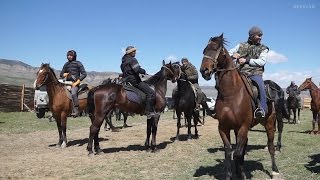 Дикие скачки 2017 Дикие скачки 2017