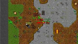 Tibia Hunting POH!