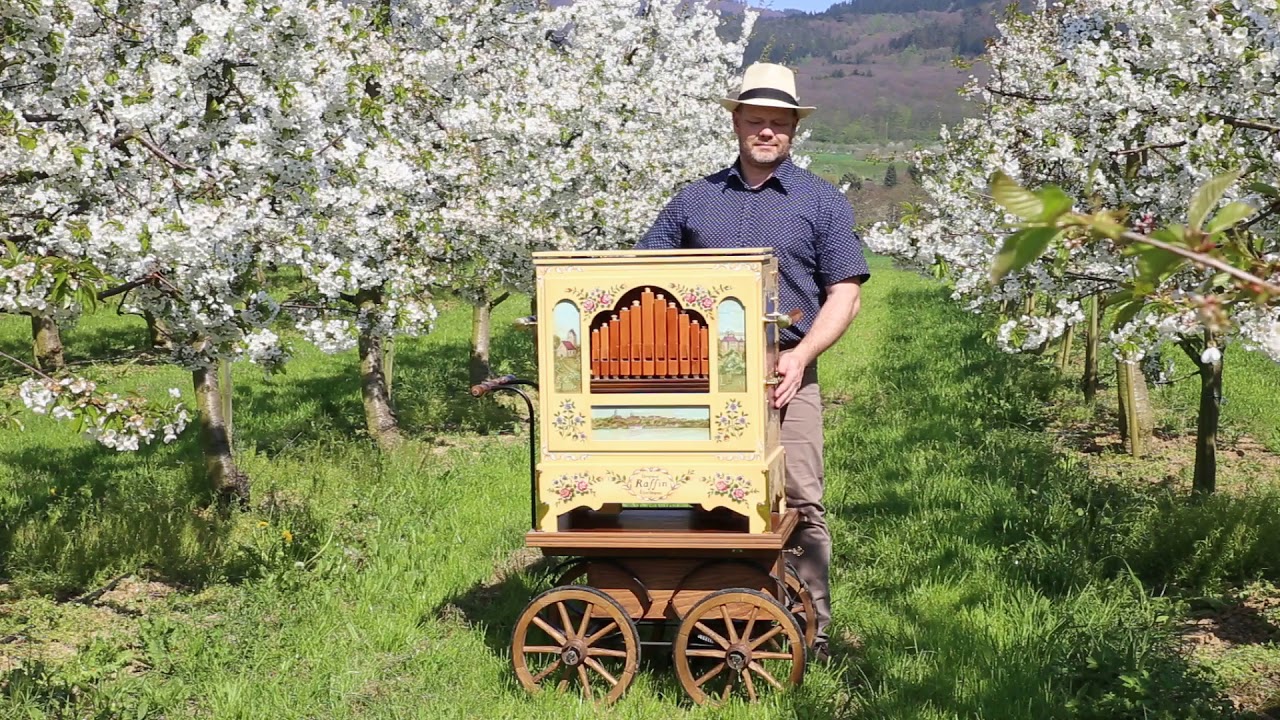 Vier Jahreszeiten Frühling von Viwaldi - Drehorgel