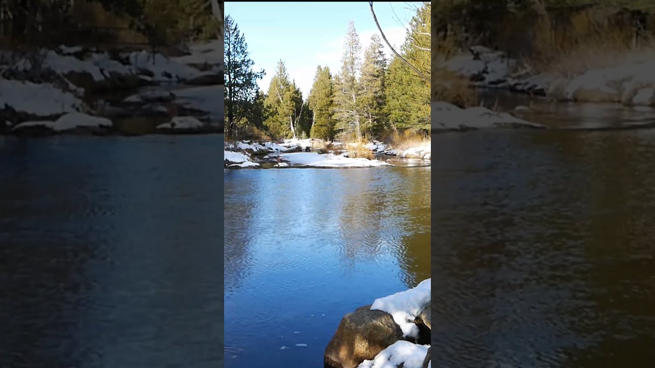 Quick Body Scan For Stress Relief NSDR Bodyscan Relaxing Yoganidra Peace Anxietyrelief Calm