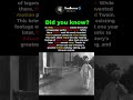The Only Video of Mark Twain
