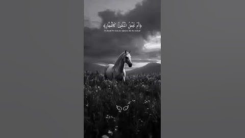 #القرآن_الكريم || بصوت القارئ اسلام الصبحيSurat Al Ahzab - سورة الاحزاب · El Sheikh Islam Sobhi