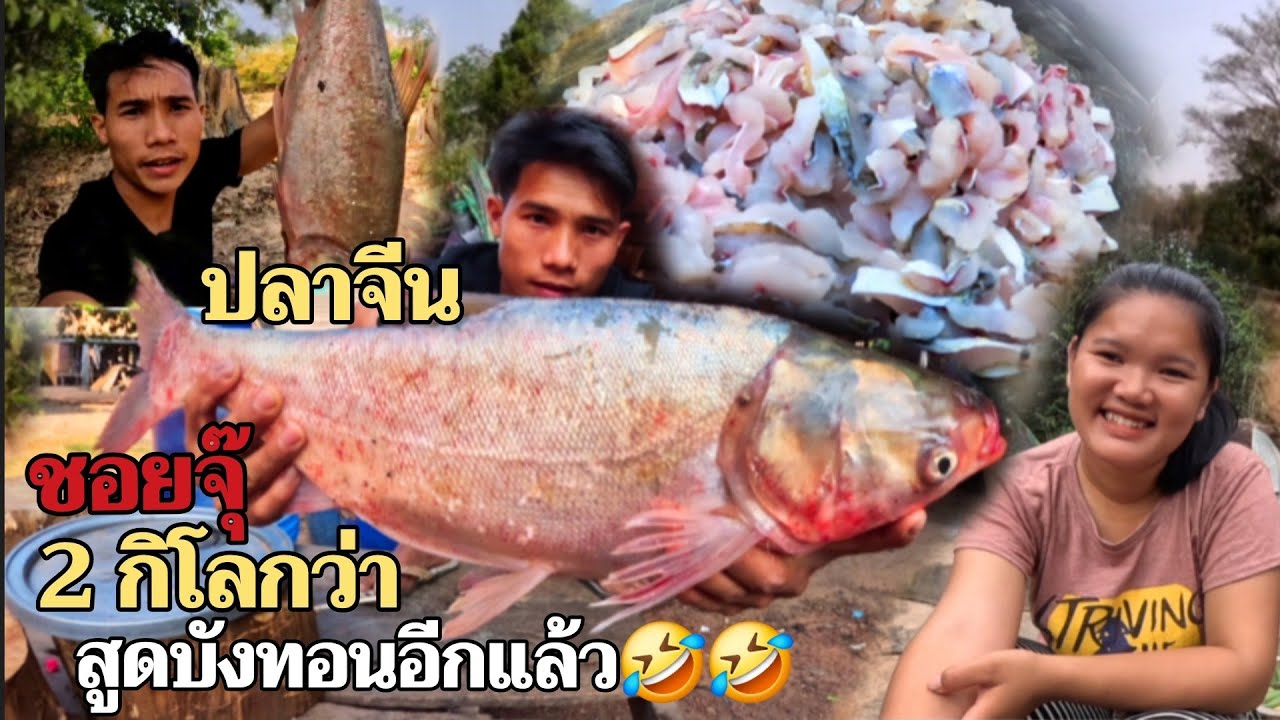 5 มีนาคม ค.ศ. 2026 บ่าวทอนจัดสูดบังกอยปลาจีนไห้ทีมงาน(อรอยมากฯ]//ບ່າວທອນຈັດສູດບັງກອນປາThonBanNa