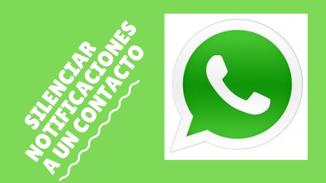 Como eliminar contacto whatsapp