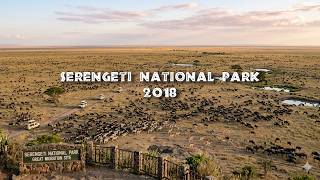 Travel vlog - VLOG 10 - Day 2 Early Morning Game Drive In Serengeti National Park {AFRICA}