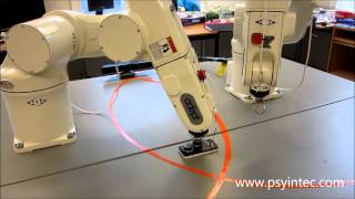 PsyIntEC Demo 3