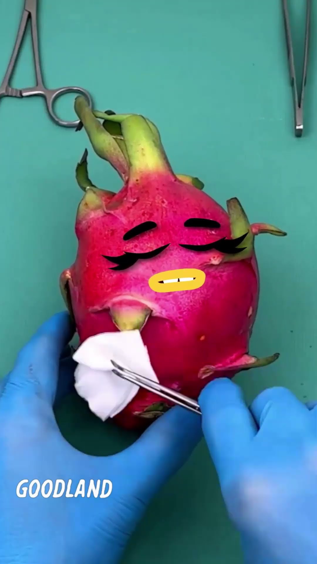 Goodland | Operation on DRAGON FRUIT lychee birth ? #doodles #animation #cartoon #GOODLAND