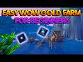 Easy WoW Gold Farm for Beginners (No Professions Needed)