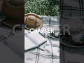 [𝑷𝒍𝒂𝒚𝒍𝒊𝒔𝒕“봄 노래로 딱이네?” 봄 햇살이 번지는 기분, 담백해서 더 자꾸 듣게 되는 몽글몽글 재즈팝 플레이리스트 Picnic &amp; Jazz pop