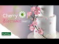 Flower Pro Cherry Blossoms Online Class | Part 2 - Colouring & Cake Decorating