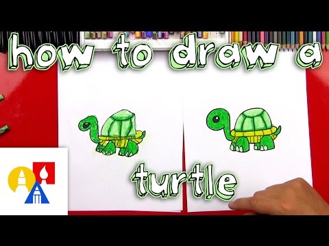 Video: How To Draw A Turtle