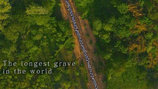 KBS The Korean War Special Documentary 'The longest grave in the world' / KBS대전 20210615 방송