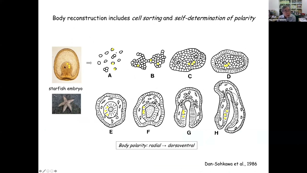 JSDB 2020 Keynote lecture Dr  Masatoshi Takeichi