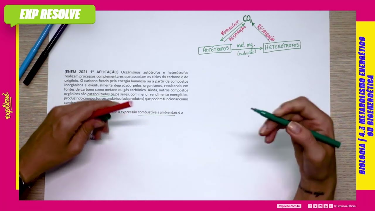 ORGANISMOS AUTÓTROFOS E HETERÓTROFOS REALIZAM (...) |  METABOLISMO ENERGÉTICO OU BIOENERGÉTICA