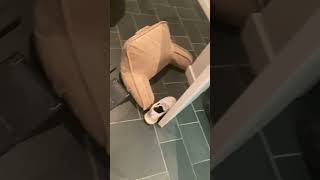 IMG 1279