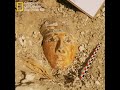 كنوز مصر المفقودة اكتشافات نادرة ناشونال جيوغرافيك أبوظبي 