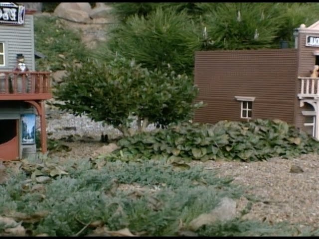 【小桃の木】 Miniature Trees - YouTube