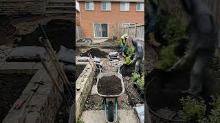 From Muddy Mess to Backyard Oasis! Watch this ultimate landscape glow up 🤩 #shorts