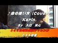命の使い方 / Karin.(Cover) 【035日目】
