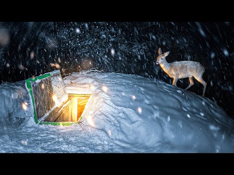 Видео: ПО СЛЕДУ ВОЛКА в ДОМ ПОД ЗЕМЛЕЙ | ПОСЛЕ МЕТЕЛИ ДОРОГА в ОДИН КОНЕЦ