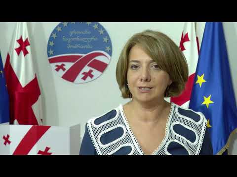 ამ ბერკეტის მიცემა „ქართული ოცნების“  ხელისუფლებისთვის სახიფათოა - შეზღუდვებზე