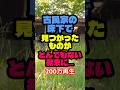 ㊗️230万再生‼️古民家の床下から見つかったものがとんでもない結末になった