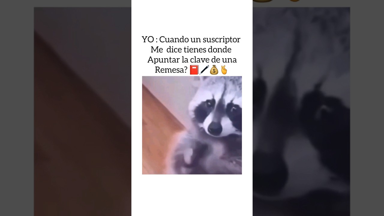 Cuando Recibo Biyuyo chapinnews jabali humor shorts YouTube cuando-recibo-biyuyo-chapinnews-jabali-humor-shorts-youtube