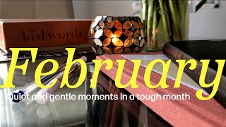 Finding solace in the mundane quiet and gentle moments