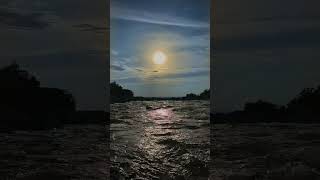 Golden Hour River Sounds 🌊 Raw Nature ASMR |  #shorts  