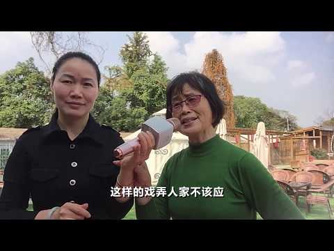 送信（越剧《山河恋》选段）