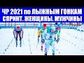 Лыжные гонки 2021. Чемпионат России по лыжным гонкам 2021 в Тюмени. Спринт мужчины женщины.