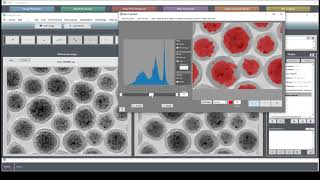 MIPAR Academy 2-3: Cleaning a Messy Segmentation