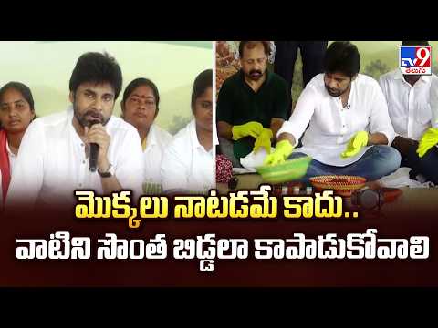 మొక్కలు నాటడమే కాదు.. వాటిని సొంత బిడ్డలా కాపాడుకోవాలి: Deputy CM Pawan Kalyan - TV9 - TV9