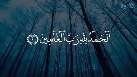 سورة الفاتحة ❤️ بصوت هادئ وجميل 😌🎧 حالات واتس اب قران كريم / مقاطع قران قصيرة / خواطر قرانية 🌿