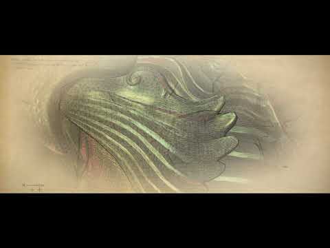 Loading video