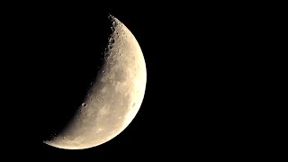 ZOOM TEST NIKON COOLPIX P530
