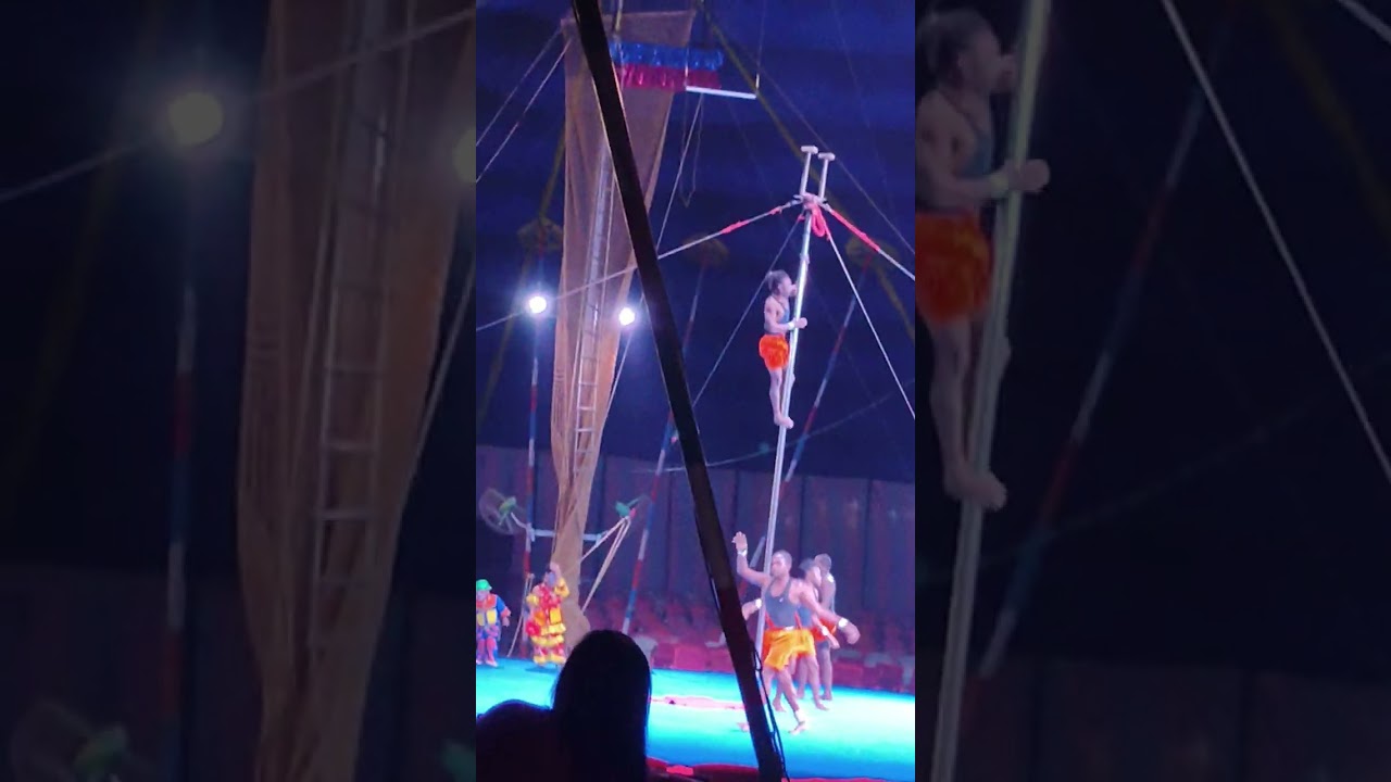 Great Golden Circus Part1 #shorts #shortsvideo #circus #circuslife 