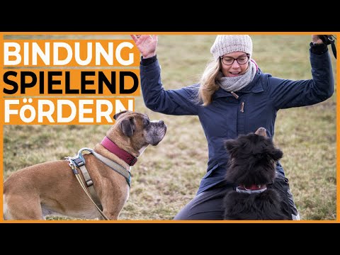 Video: 5 geistig und körperlich anregende Spiele zum Spielen mit Ihrem Hund