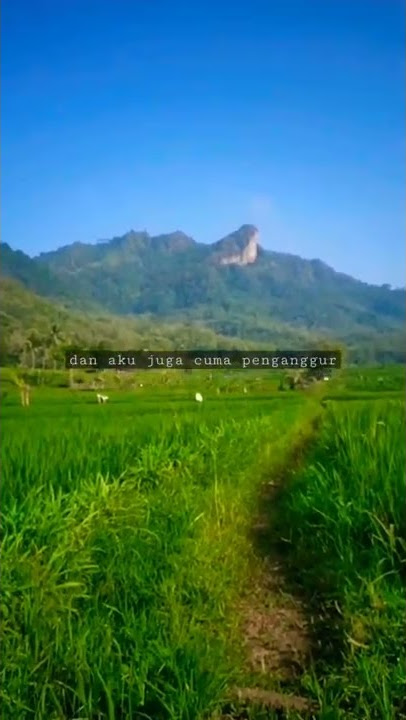 STORY WA TUKANG OJEK: SLANK - AKU GILA