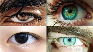 celebrities eyes shapes