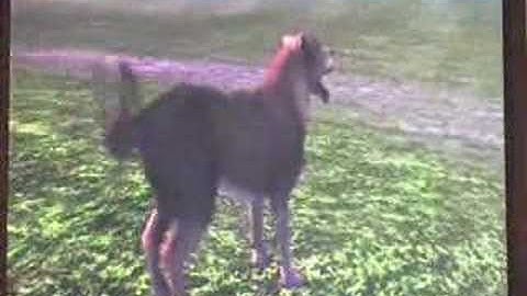 GDC 2007  Fable 2 Demo [1]