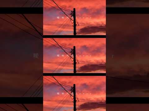 曖昧劣情lover #cover #電ポルp
