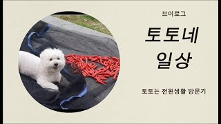 토토네 전원생활 적응기 대작전