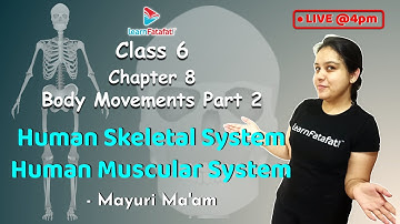 Class 6 Body Movements Part 2: Skeletal System and Muscular System of Human - Mayuri Ma