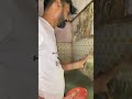 Rescued Indian cobra snake 🐍 part-2