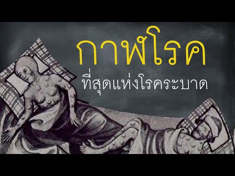 วีดีโอ: คลิปความคิด. สารคดี