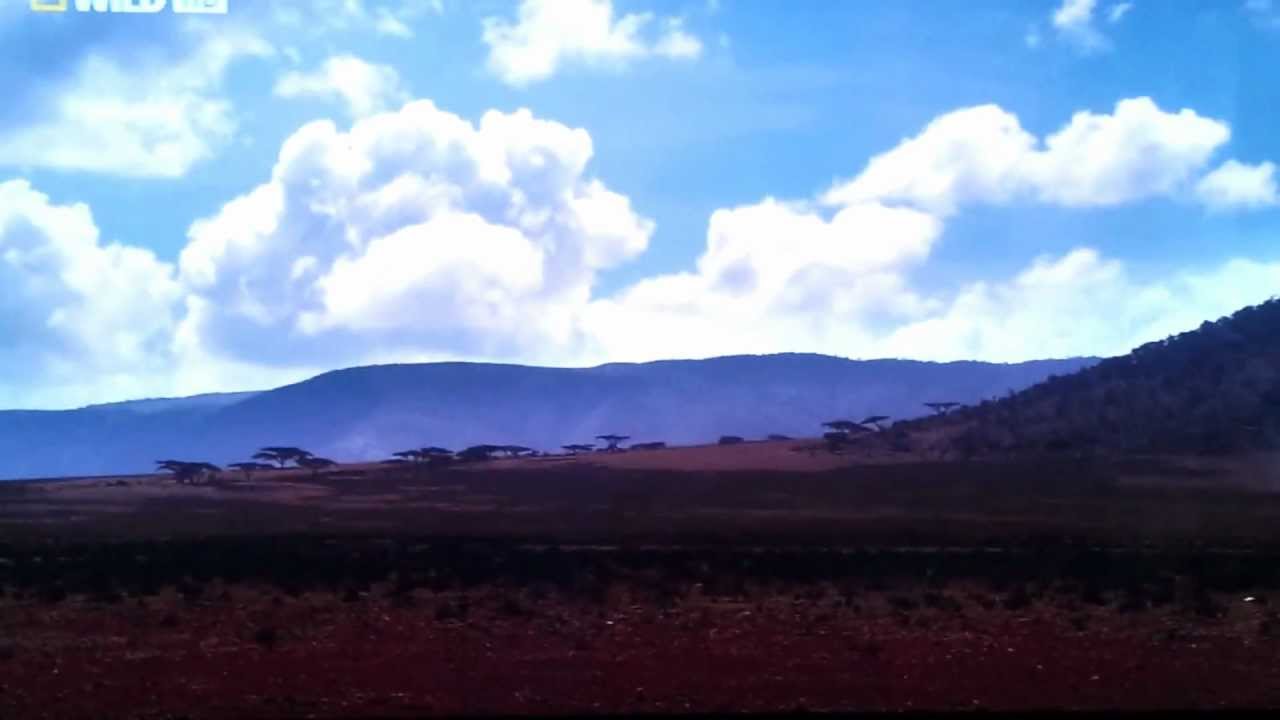 PLCs DEVOLO dLan500 AVtriple+ funcionando con dos canales HD de forma simultánea