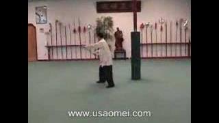 Lau Ga Staff by Sifu Dr. Jang
